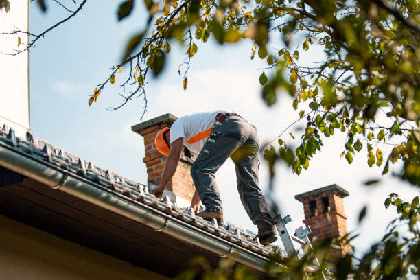 Best Sealant for Roof  in Mount Hore, WI