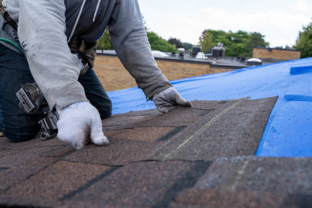 Best Roof Restoration Services  in Mount Hore, WI
